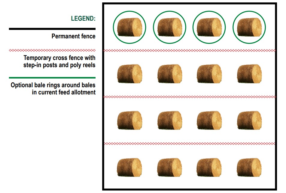 Figure 1 winter grazing .jpg